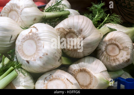 Close up di finocchio fresco lampadine in vendita il prossimo al verde estate campi da squash e pomodori nel mercato degli agricoltori. Foto Stock