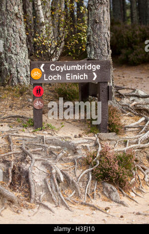 Coylumbridge e Loch Einich cartello in legno situato nel Rothiemurchus Estate vicino al Loch un Eilein, altopiani, Scozia Foto Stock
