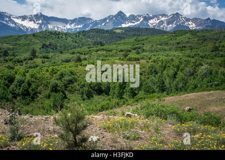 San Juan Mountains in estate vicino a Ridgway, Colorado, STATI UNITI D'AMERICA Foto Stock