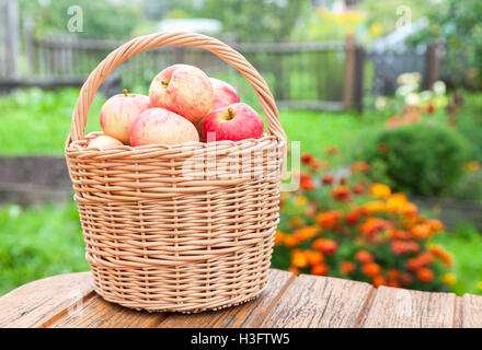 Legno cesto in vimini con fresche mele mature in giardino contro sfondo sfocato Foto Stock