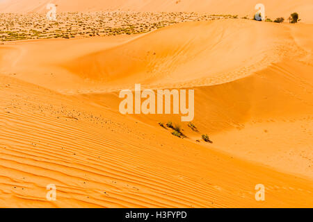 Foto del deserto in Emirato di Abu Dhabi sul confine con il Regno di Arabia Saudita Foto Stock