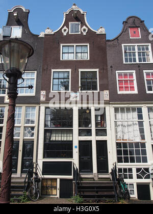 Questa immagine raffigura lo Zandhoek, un'area rurale nei Paesi Bassi conosciuta per la sua bellezza naturale e l'architettura tradizionale. La fotografia cattura il paesaggio, mostrando l'ambiente tranquillo e le strutture storiche tipiche della regione. Foto Stock