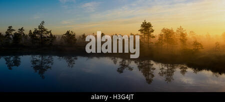 Bog paesaggio con Rising Sun, Estonia Foto Stock