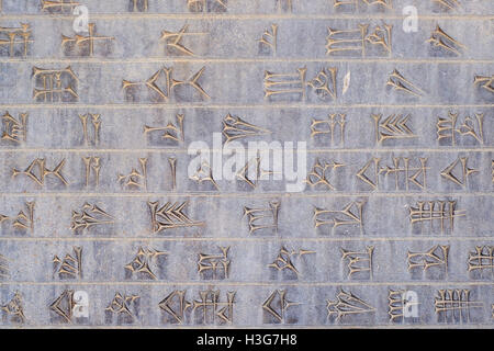 Iran, far Provincia, Persepolis, Patrimonio Mondiale dell'UNESCO, intagliato script cuneiformi Foto Stock