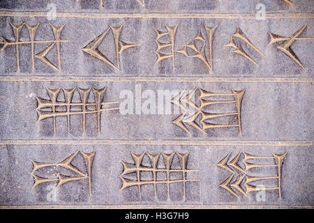 Iran, far Provincia, Persepolis, Patrimonio Mondiale dell'UNESCO, intagliato script cuneiformi Foto Stock