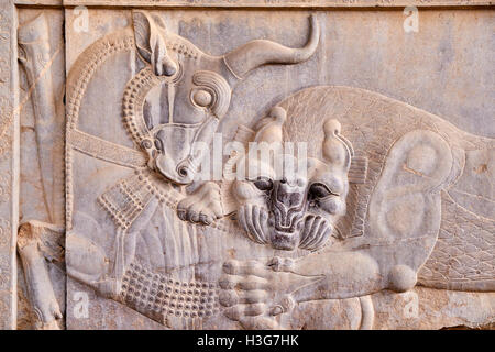 Iran, far Provincia, Persepolis, Patrimonio Mondiale dell'UNESCO, il bassorilievo di una lotta al toro e Lion Foto Stock