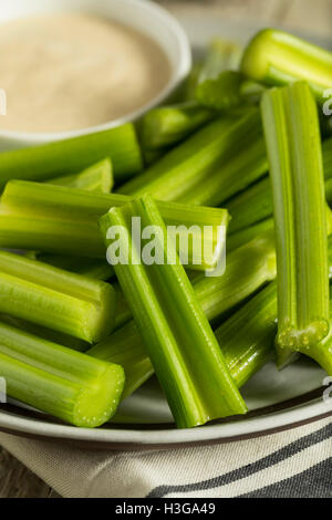 Materie Verde biologico gambi di sedano con Ranch Dip Foto Stock