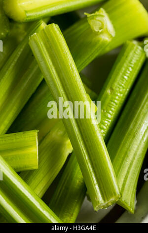 Materie Verde biologico gambi di sedano con Ranch Dip Foto Stock