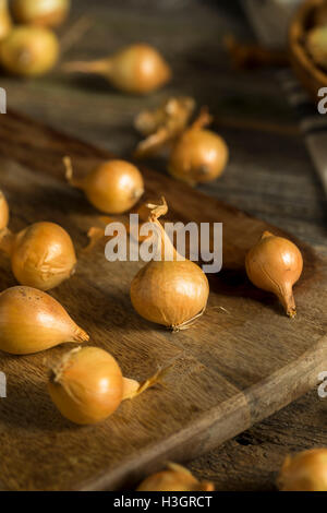 Organico giallo grezzo Cipolline pronti per la cottura Foto Stock