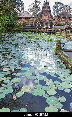 Taman Saraswati Tempio. Ubud. Bali. Indonesia asia. Foto Stock