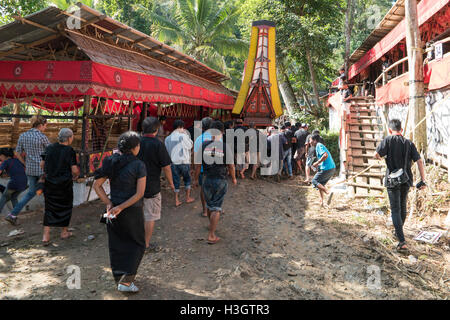 :Familiari e parenti parade la bara per la particolarità del luogo di sepoltura si trova a Lemo, Nord Toraja. Foto Stock