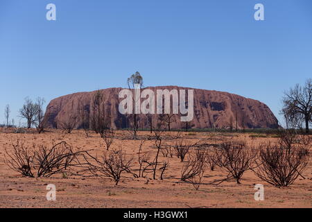 Uluru (Ayers Rock) nel Territorio del Nord, l'Australia Foto Stock