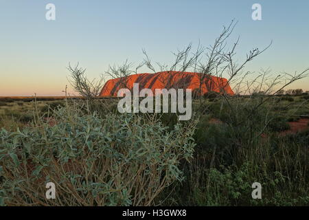 Uluru (Ayers Rock) nel Territorio del Nord, l'Australia Foto Stock