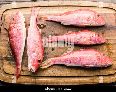 Triglie sulla tavola di legno. Foto Stock