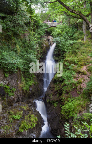 Aira Force su Aira Beck, Lake District, Cumbria, Inghilterra Foto Stock