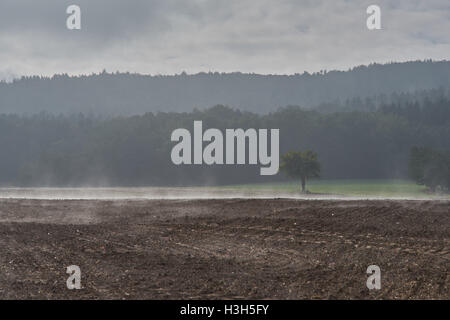 Rising foschia sopra i campi ondulati in ottobre mattina Foto Stock