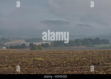 Rising foschia sopra i campi ondulati in ottobre mattina Foto Stock