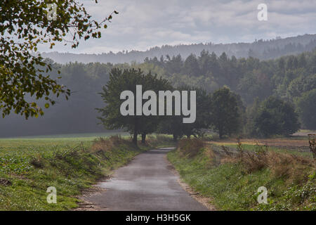 Rising foschia sopra i campi ondulati in ottobre mattina Foto Stock