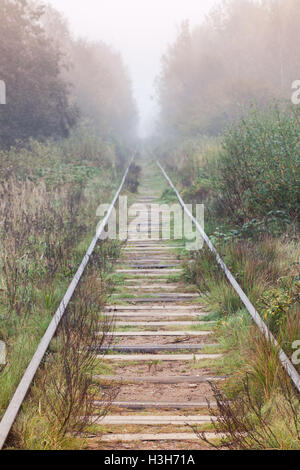 Stazione ferroviaria vuoto passa attraverso la foresta di nebbia al mattino, verticale dello sfondo della foto Foto Stock