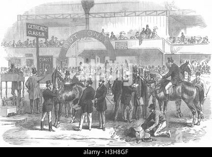 LONDON Islington Horse Show premi 1867. Illustrated London News Foto Stock