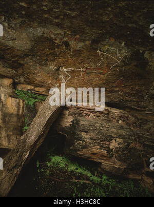 Aboriginal pitture rupestri nel nanguluwur gallery. burrunggui, precedentemente Nourlangie Rock Foto Stock