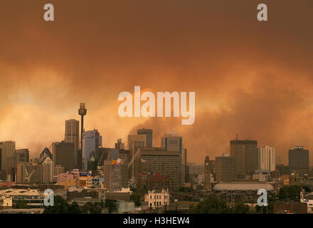 Bushfires che infuria nei pressi di Sydney. Sydney, Nuovo Galles del Sud, Australia Foto Stock