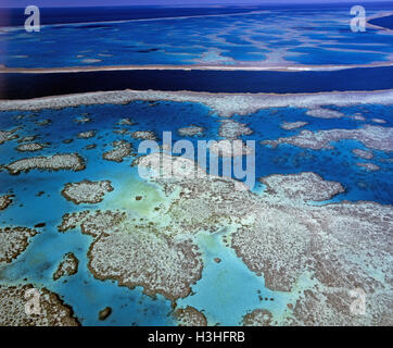 Hardy reef e gancio reef, Foto Stock