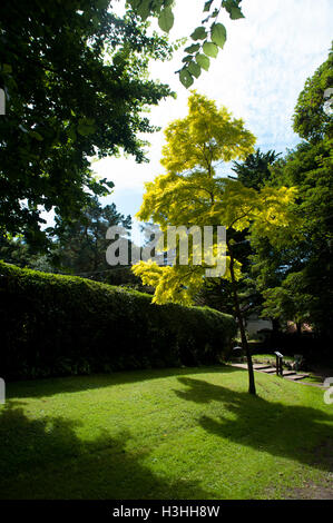 Isola di Caldey, South Wales Monastero Foto Stock