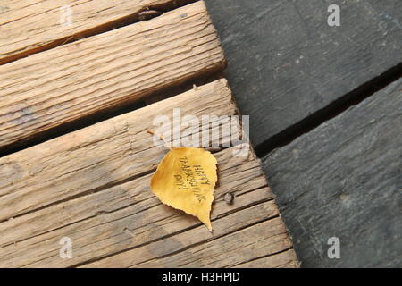 Felice giorno del ringraziamento card Foto Stock