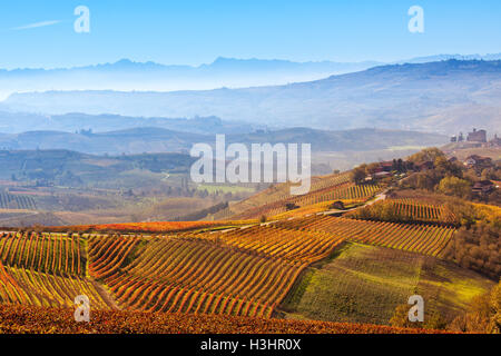 Giallo e arancio dei vigneti e la nebbia di mattina sulle colline in background in autunno in Piemonte, Italia settentrionale. Foto Stock