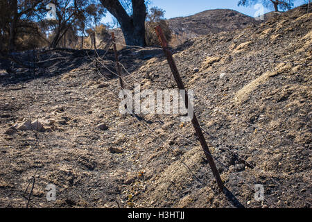 Linea di filo spinato teso attraverso la zona di incendio di foresta in California. Foto Stock