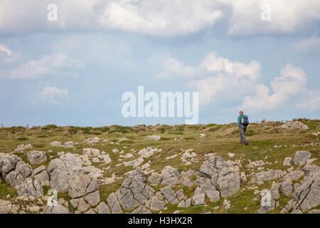 Camminando sul sentiero costiero a Castlemartin, Pembrokeshire Foto Stock