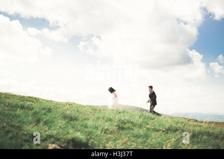 Kissing sposi in soggiorno nel bellissimo paesaggio Foto Stock