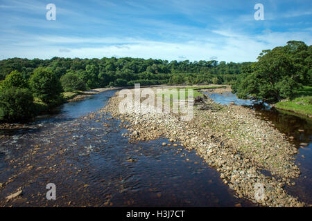 Il Sud del Fiume Tyne nei pressi di Haltwhistle, Northumberland, Regno Unito Foto Stock