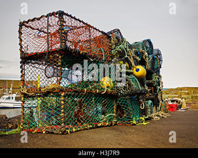 Cestini di pesca su St Abbs Harbour Foto Stock