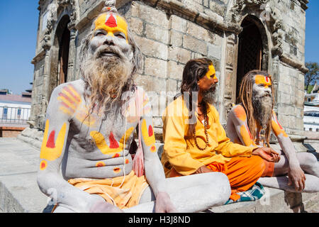 Sadhus al tempio di Pashupatinath, Kathmandu, Nepal Foto Stock