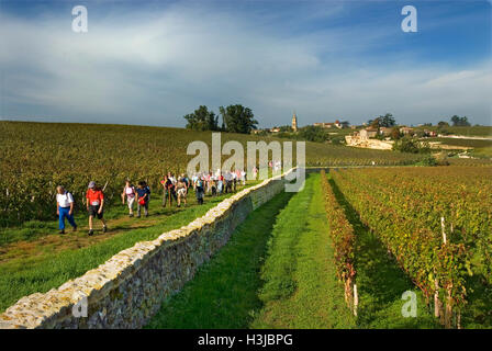 SAINT EMILION ST-EMILION passeggiate guidate a piedi attraverso Saint Emilion vigneti da Chateau Troplong Mondot vigna a Saint Emilion Bordeaux Francia Foto Stock