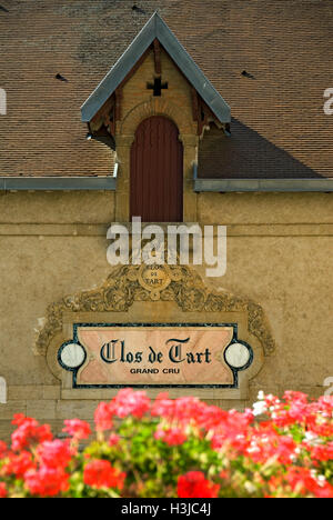 Clos de Tart Grand Cru segno con fiori in primo piano, Morey-St-Denis, Cote d'Or, Francia Foto Stock