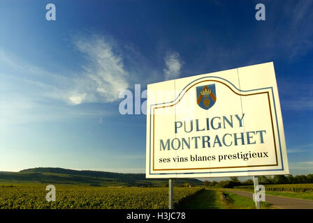 PULIGNY-MONTRACHET vigneti grande cartellone di firmare all'entrata Puligny-Montrachet vigneti e il villaggio del vino, Puligny-Montrachet, Cote d'Or, Francia Foto Stock