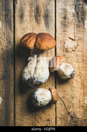 Una grande e due piccole crudo fresco bianco di funghi di bosco e foglia secca sul malandato in legno rustico sfondo, vista dall'alto, selettivo Foto Stock