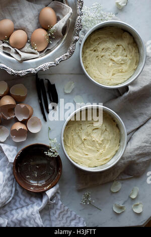 La vaniglia miscela per torte Foto Stock