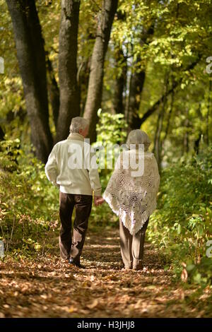 Coppia di anziani va via attraverso il vicolo in autunno park Foto Stock