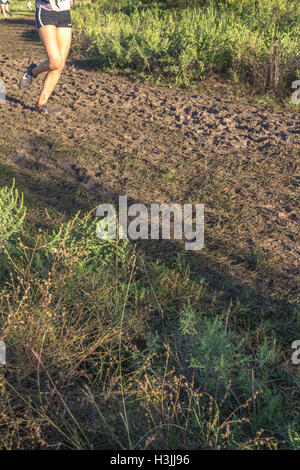 Giovani atleti in funzione cross country Foto Stock