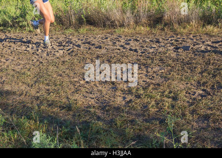 Giovani atleti in funzione cross country Foto Stock