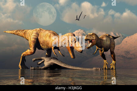 Una coppia di T.REX ,l'alimentazione dai resti di un dinosauro Sauropod. Foto Stock