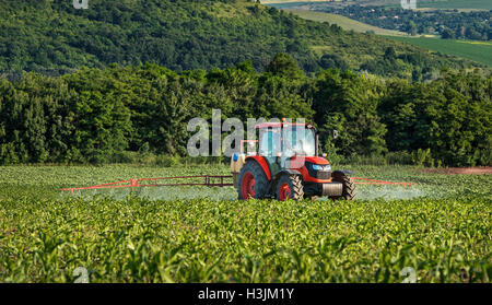 Varna, Bulgaria - 10 Giugno 2016: Kubota trattore nel campo. Kubota Corporation giapponese è un produttore di macchinari con un Foto Stock