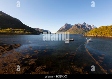 Isole Lofoten in Norvegia, Foto Stock