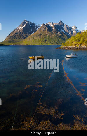 Isole Lofoten in Norvegia, Foto Stock