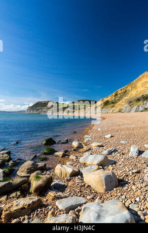 Golden Cap (più alta scogliera sulla costa sud dell'Inghilterra) da Seatown sulla spiaggia di Jurassic Coast, Dorset, England, Regno Unito Foto Stock