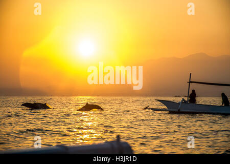 Bali Indonesia free Dolphin boat guardando a Lovina Beach 3 Foto Stock